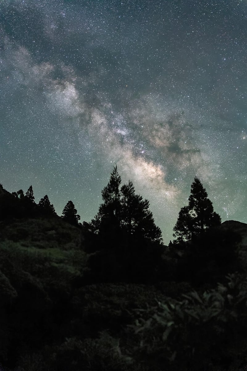 Celestial Centerpiece