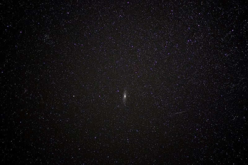 Starry Backdrop